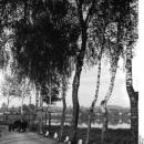 Ostpreußen, Landschaft bei Kutten